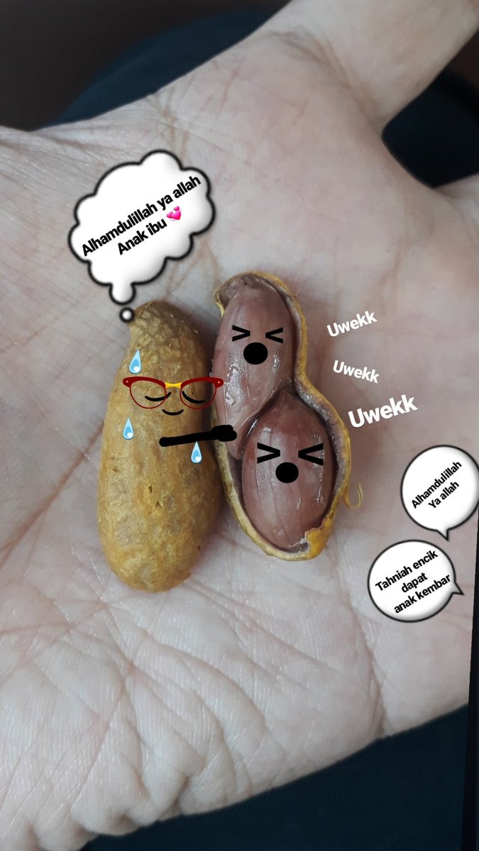 amamijan's tweet photo. Guys penat aku buat ni..baca lah haha.. the tales of kacang rebus

@twt__insaf @twt_seni @twt_komik https://t.co/w9Fi7nrxX2