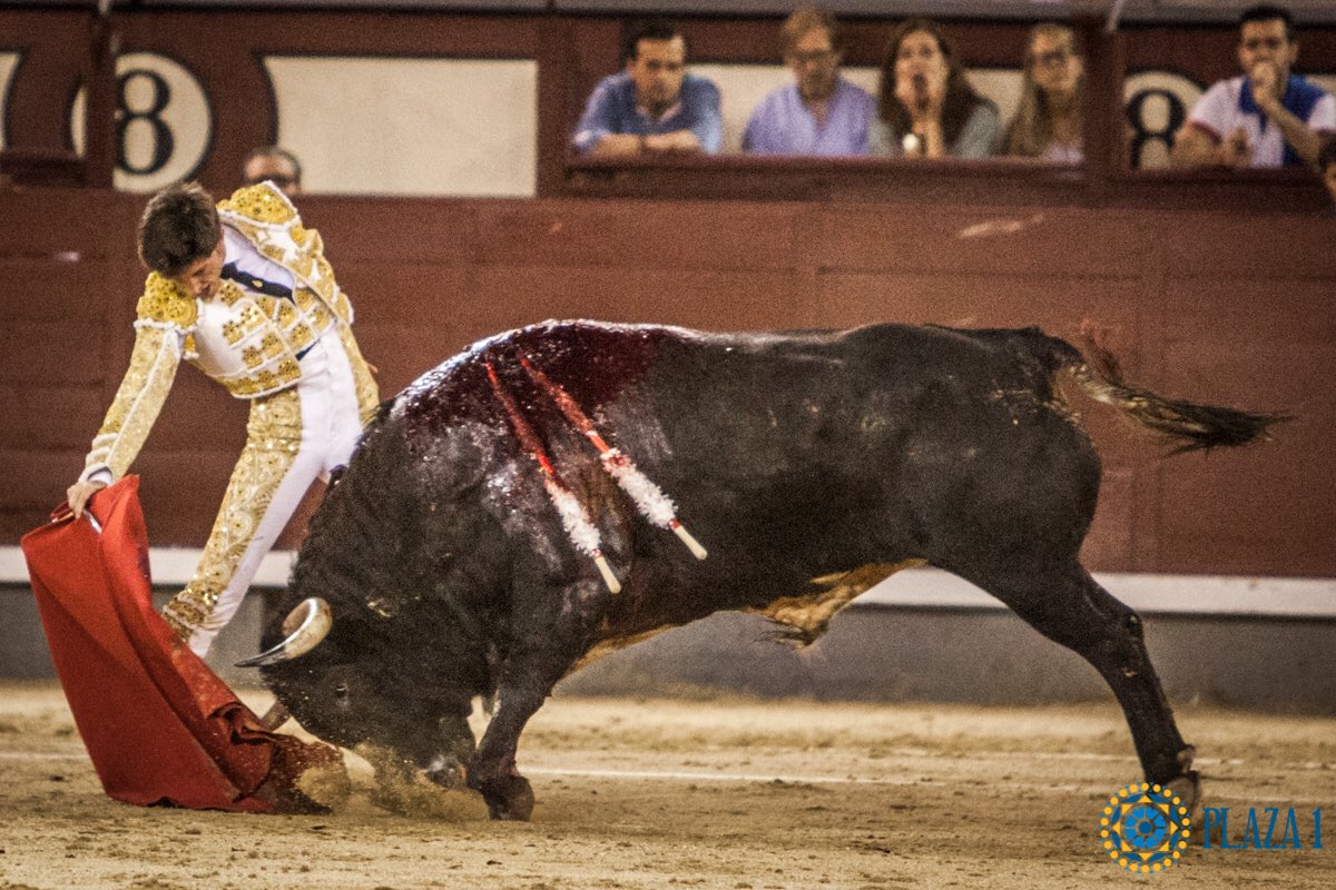 📸 | En FOTOS, la novillada de ayer viernes en #LasVentas. Saludos de Ángel Jiménez en la tercera nocturna de la temporada.

Galería 👇
goo.gl/TgFkwu