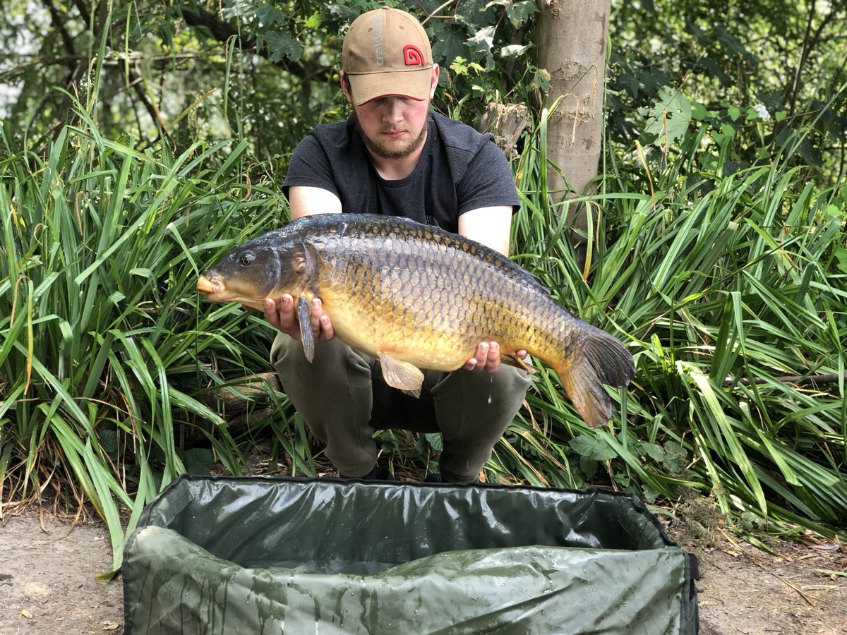 jjangling's tweet photo. Waiting and waiting, boom this stunning old warrior common charged off on my @ViperTackleLTD bottom bait rig tied with the size 6 long shank. Topped with @hydrabaits liver pro 14mm with a trimmed down liver pro pop up fished snowman style. 18.12lb ain’t a bad size either https://t.co/oC6OLfxH4w