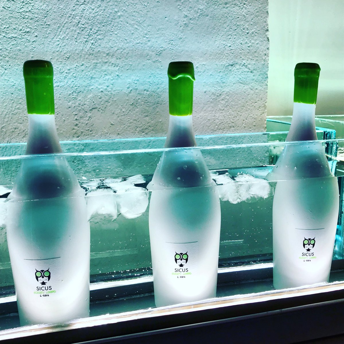 uainconcept's tweet photo. Freestyle per aquests dies calurosos d’estius 😎🤙🏻 #sicus #aciditylovers #mediterrani #agriculturaorganica #uain #uainconcept #bardevins #gastronomia #vicatalà #lescala #costabrava #sommelier #newproject https://t.co/QmP1Y04UfF