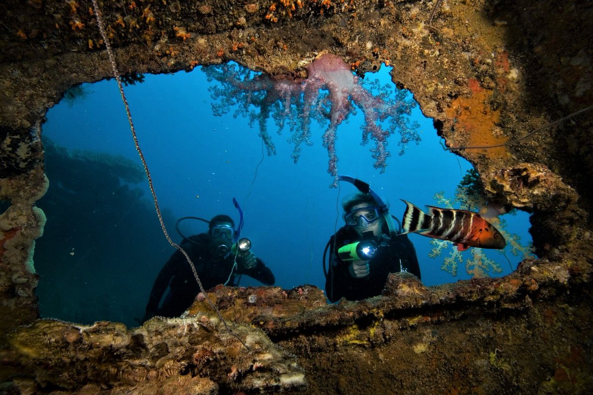 diving_seals's tweet photo. 70% of the earth is covered by water🐚🐠💦non diver?  hope you enjoy your 30%!
wait no more! become a diver and explrore the world!
#sealsdivingcenter #scubadiving #underwaterworld #seabottom #seanature #nature  #explorescubadiving #underwaterphotography #padi #Greece🇬🇷 https://t.co/9HeubIta3P