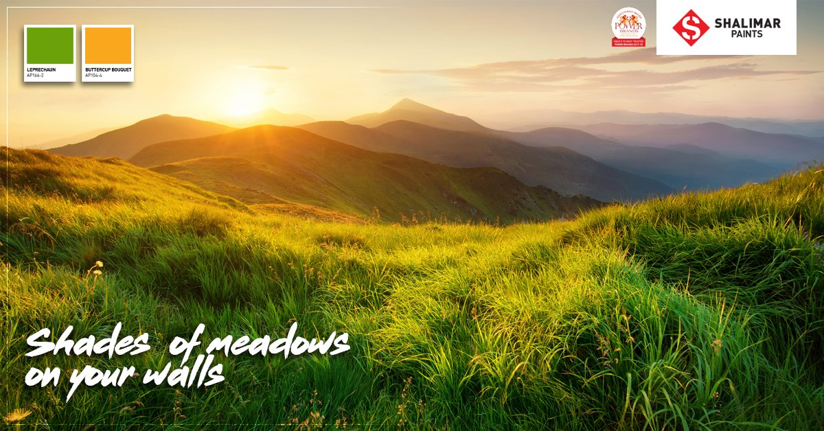 ShalimarPaints_'s tweet photo. Let your walls speak the language of nature with range of colors from #ShalimarPaints
#ColorsOfInspiration #MotivationalQuote #ColorQuote #SaturdaySpecial https://t.co/8OIJqwMkt6