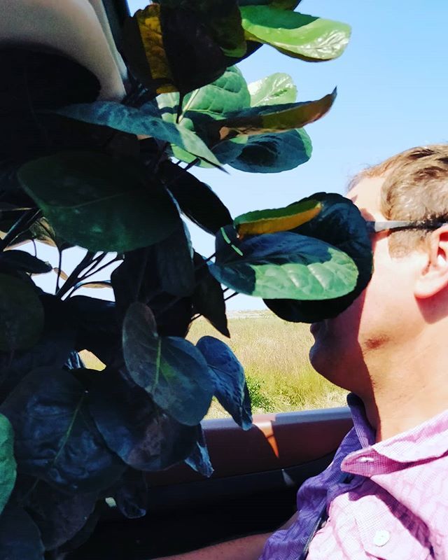 MarcvanHedel's tweet photo. A husband knows its place: 1 tree, 2 handbag... https://t.co/PF5lREpWqS https://t.co/t4OhLFhQ8p