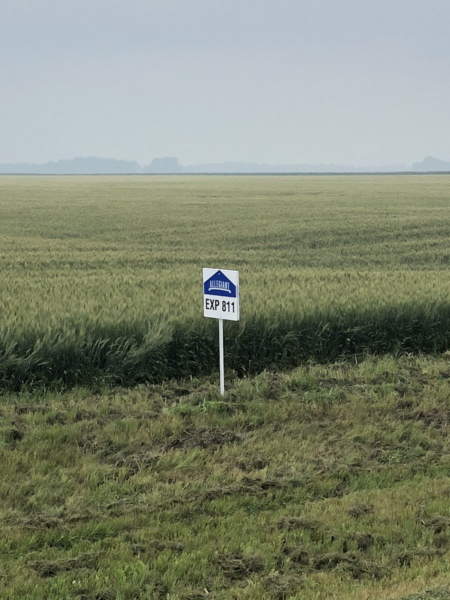 Kyle Schafer tweet media