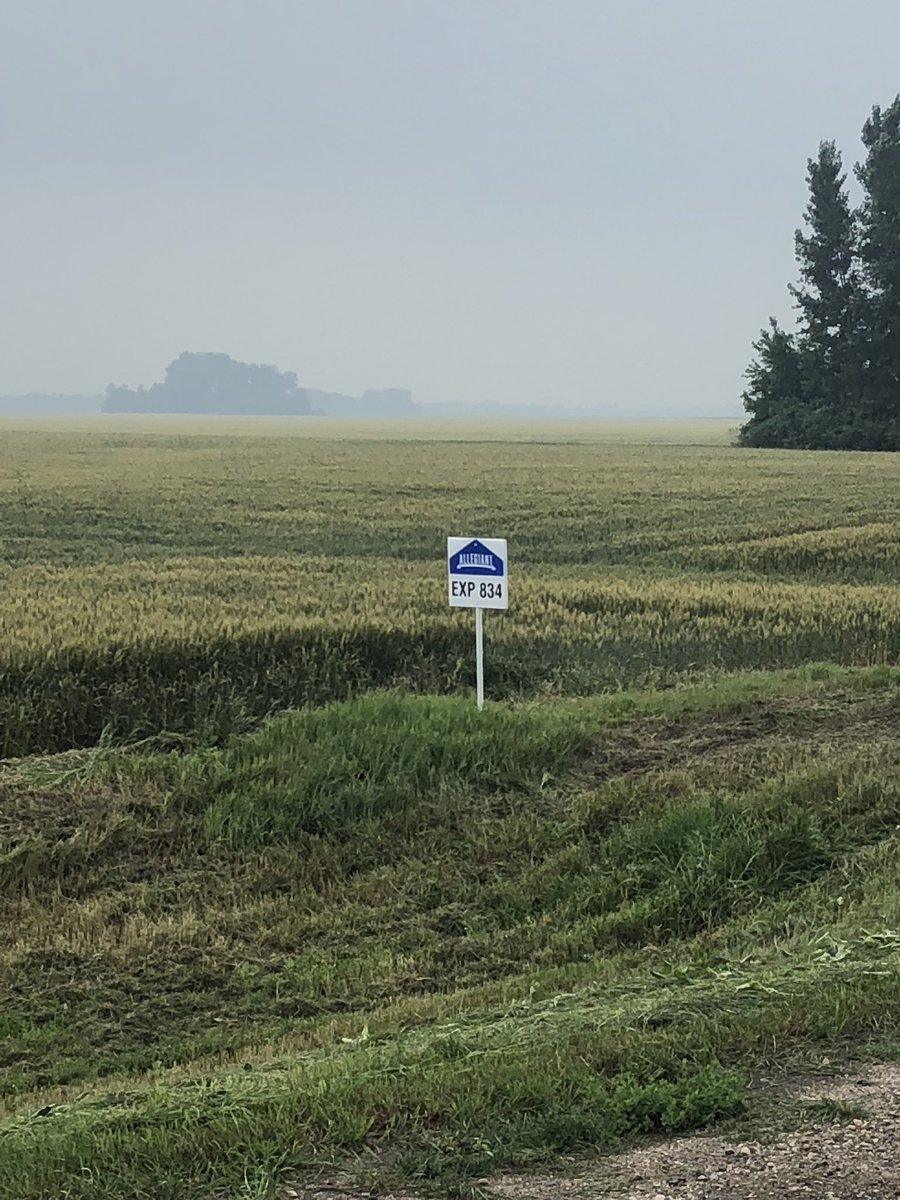 Kyle Schafer tweet media