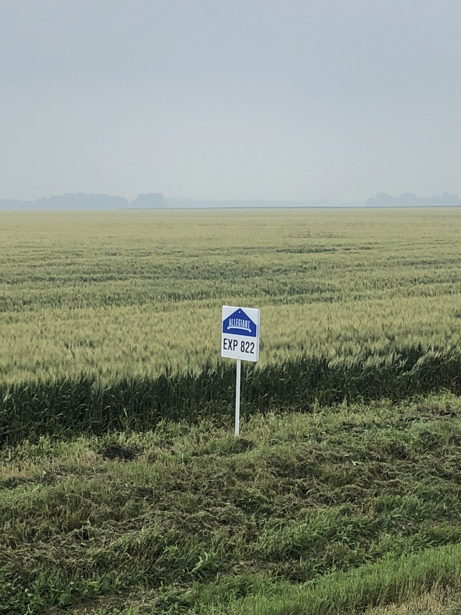 Kyle Schafer tweet media