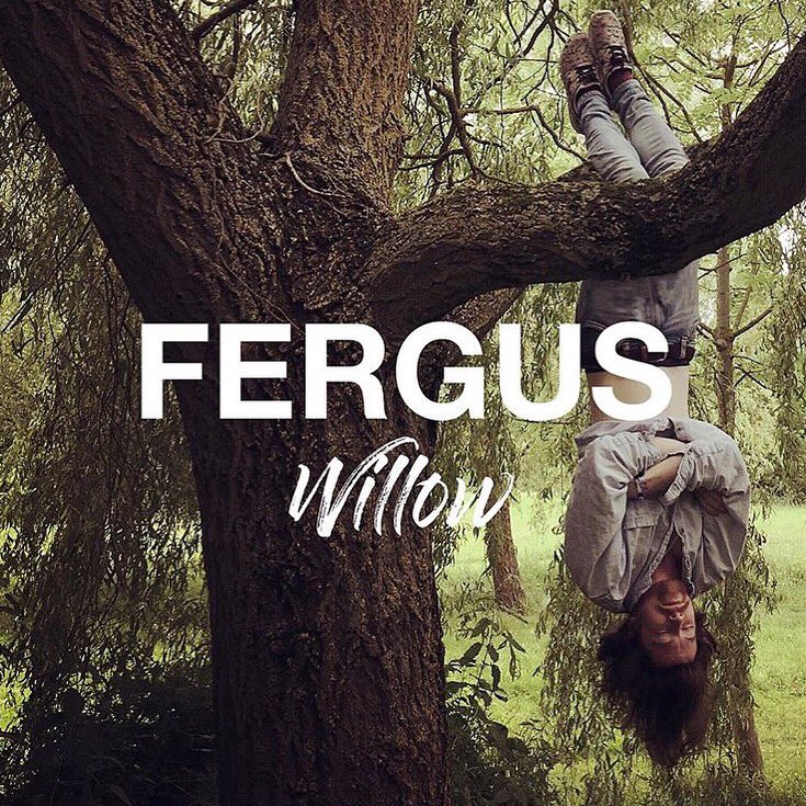 GoldunEgg's tweet image. @intofergus new single ‘Willow’ is released August 1st! Go pre-save it on Spotify so you don’t miss it🎶