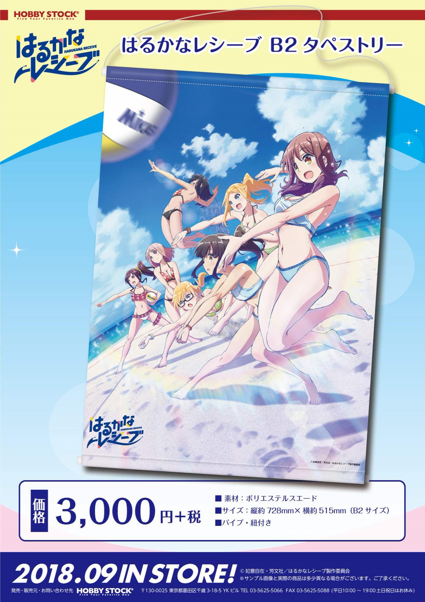 はるかなレシーブ　非売品　販促用　ポスター ゲマ【ゲーマーズ公式】 on X: 