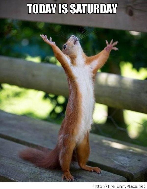 RiteCheck's tweet image. Enjoy your weekend...Happy Saturday!