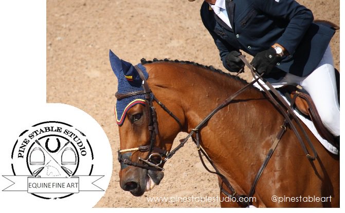 Try pilates to stretch tight muscles &amp; gain flexibility 2B a better rider. #equestrians #equestrian #horses #horse #horsehour #riderfitness