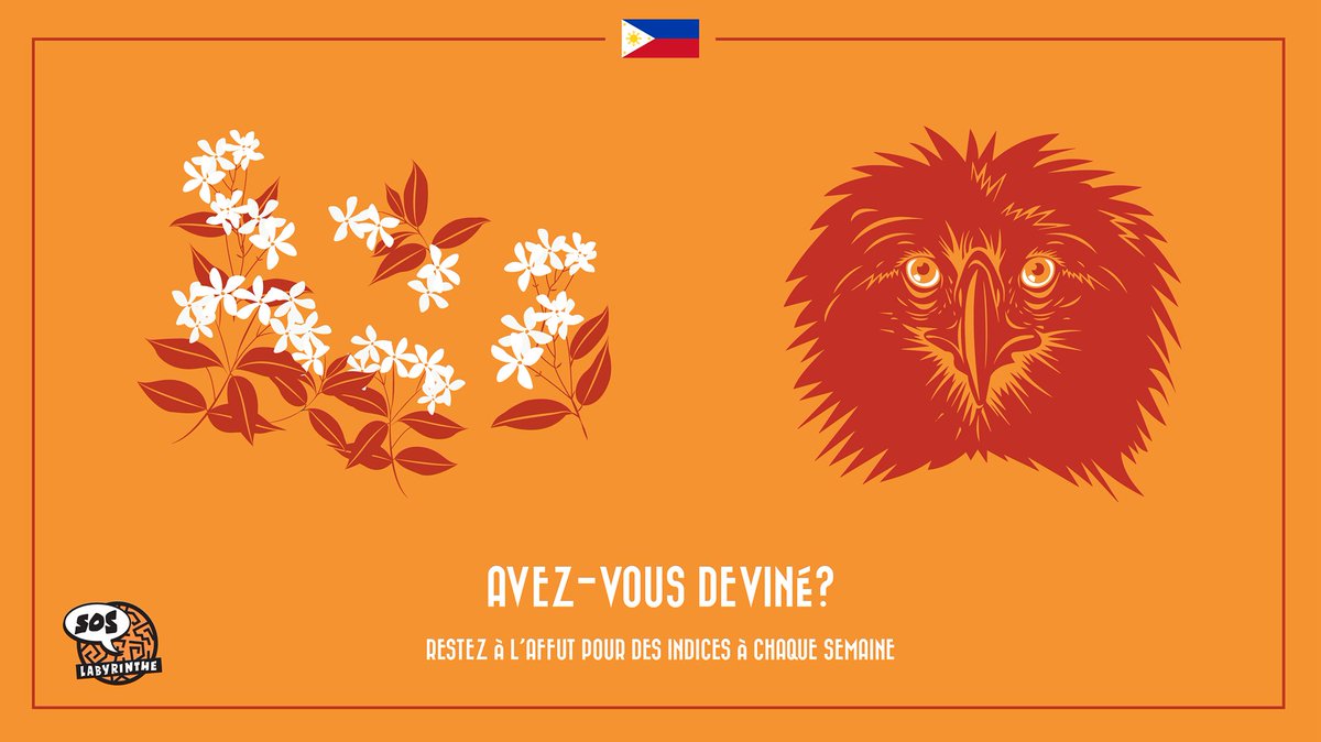 SOSLabyrinthe's tweet image. #FEUXDARTIFICE
🎆 Si vous vous sentez l'âme d'un détective, vous pouvez venir découvrir nos Soirs d'Enquête, les jeudis, vendredis et samedis soirs de 19H30 à 22H.
Parce qu'on aime s'amuser, voici un indice supplémentaire concernant le pays recherché: ✈️ 14° 35′ N, 121° 00′ E