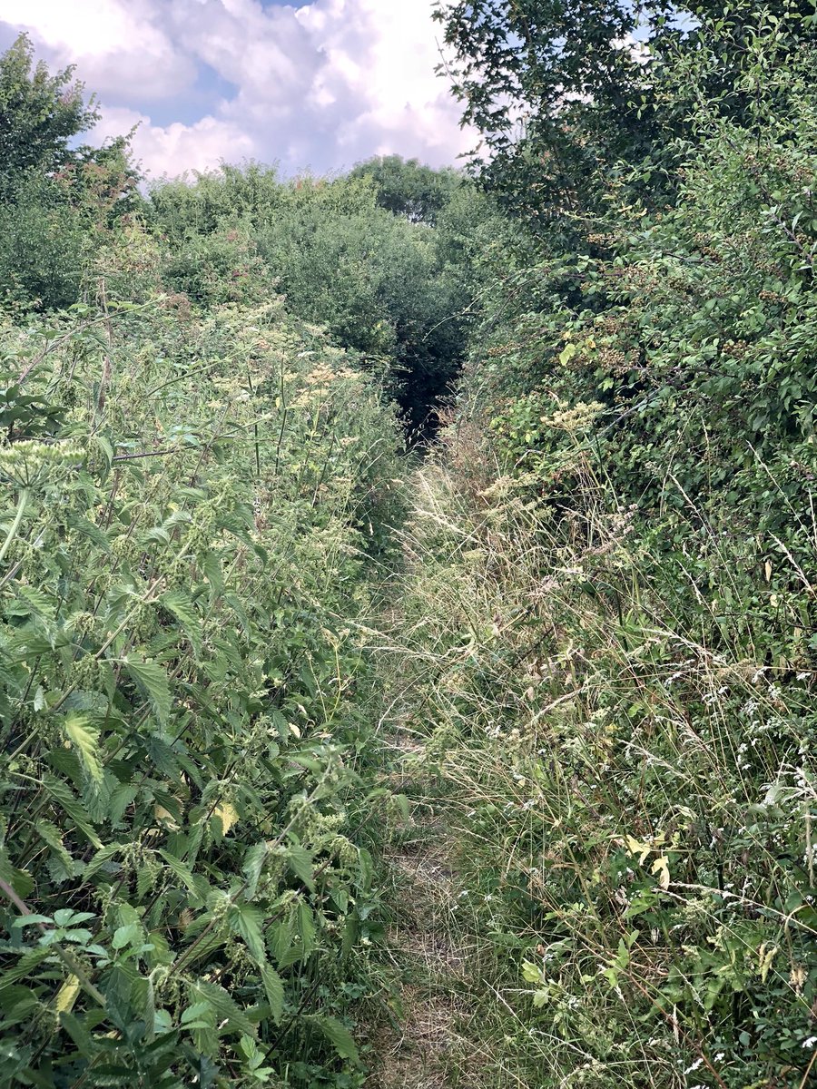 Blathering_on's tweet photo. Fantastic day out on the bike. Not entirely sure how @TheRideJournal managed to squeeze in quite so much off road so close to London, but some of these trails required a lot of faith that you were going the right way. Loved it! #NorthLondonDirt https://t.co/sx1JAaKj0l