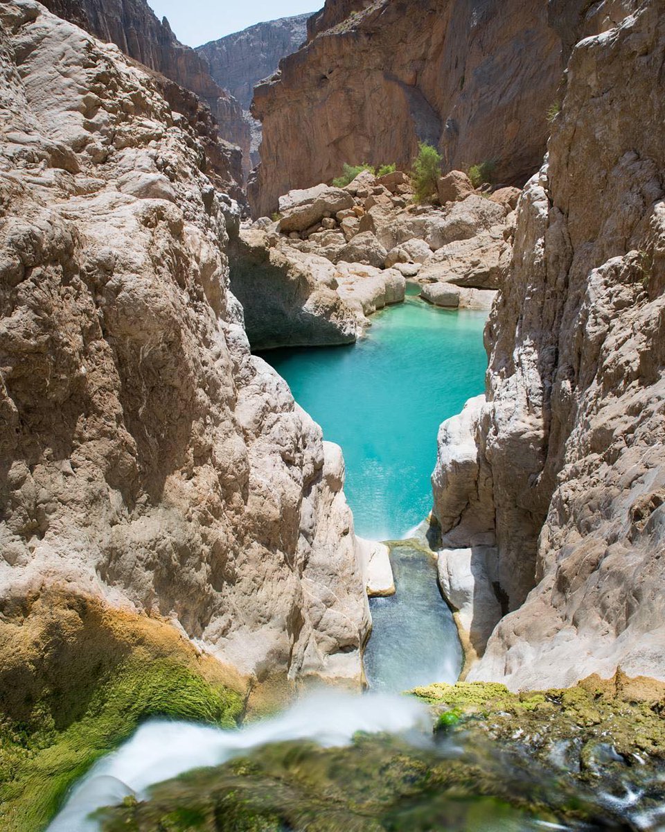Experience Oman tweet media