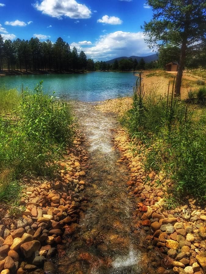 Eagle Rock Lake Carson National Forest New Mexico  by Debra Martz buff.ly/2LEg5Ie
#eaglerocklake #carsonnationalforest #newmexico #newmexicotrue #lake