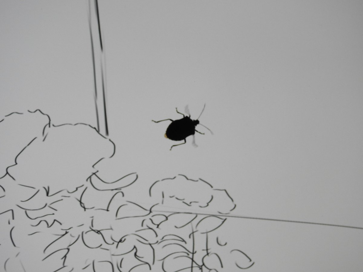 えむかみ Emukami3 Twitter