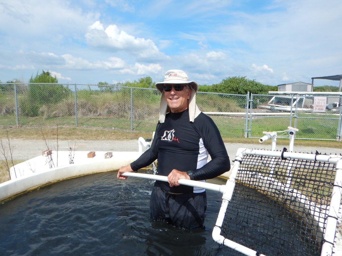 LabSav's tweet image. It was a great week of sieving out detritus from our eelgrass seeds for the upcoming fall 2018 restoration effort! @VIMS_News