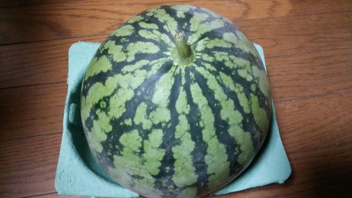 saionjee's tweet photo. 大分大きくなったので
2つ収穫したけど
まだ早かったみたい
もう一回り大きくなるまで
待てばよかったけど
たくさん実がついている... https://t.co/tPAKfSbWOd #cropnet https://t.co/gY1VPLxUkW
