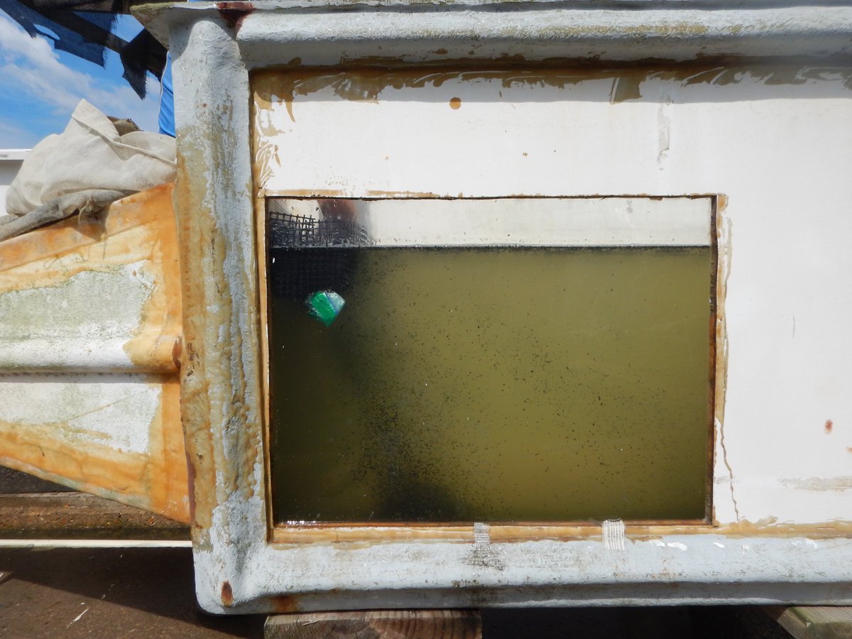 LabSav's tweet image. Once we remove the detritus, we flume and sieve again, then the seeds are stored in environmentally controlled tanks until distribution time. @VIMS_News