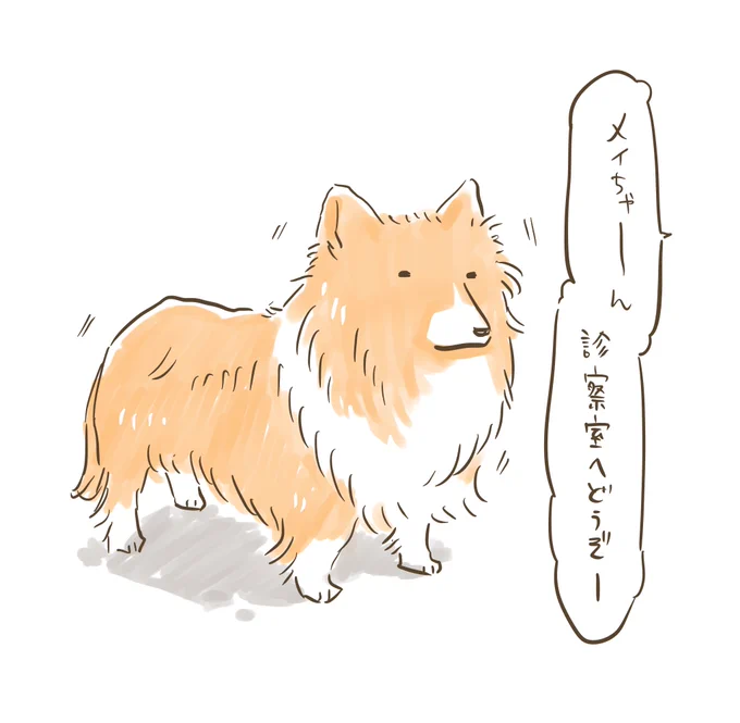 病院で名前を呼ばれて立ちすくむイッヌ 