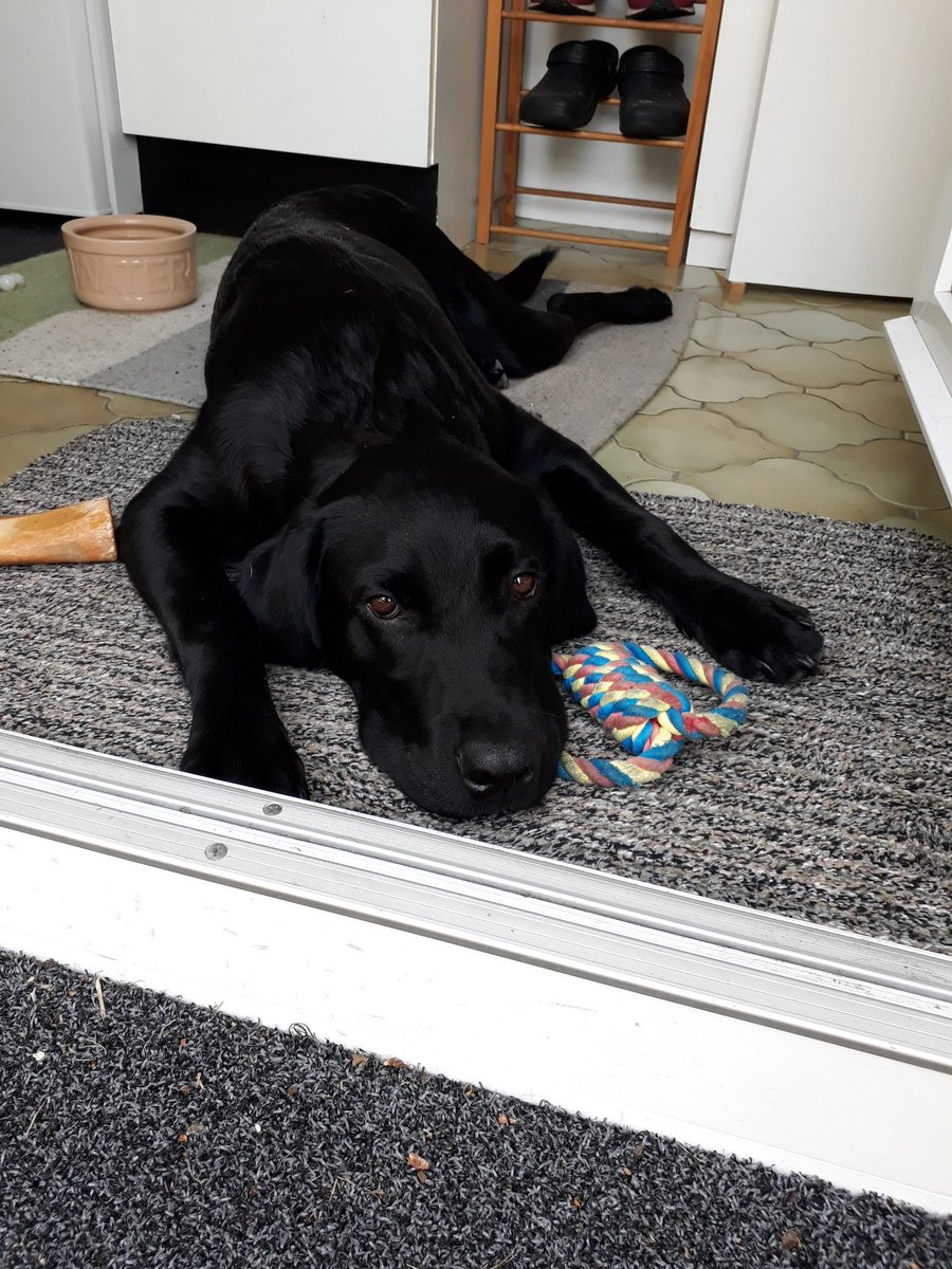 Matthew Hemming MW tweet media