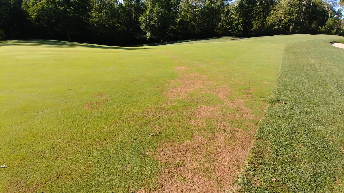 ColdstreamTurf's tweet image. We're all fighting turf loss in different ways.  Recognize your weak points and make them stronger next year.  Thanks for posting.@francisdmarion