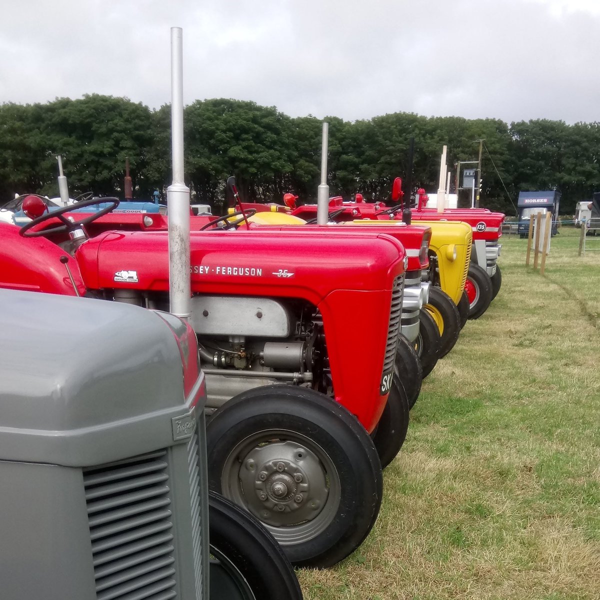 Eann Sinclair tweet media