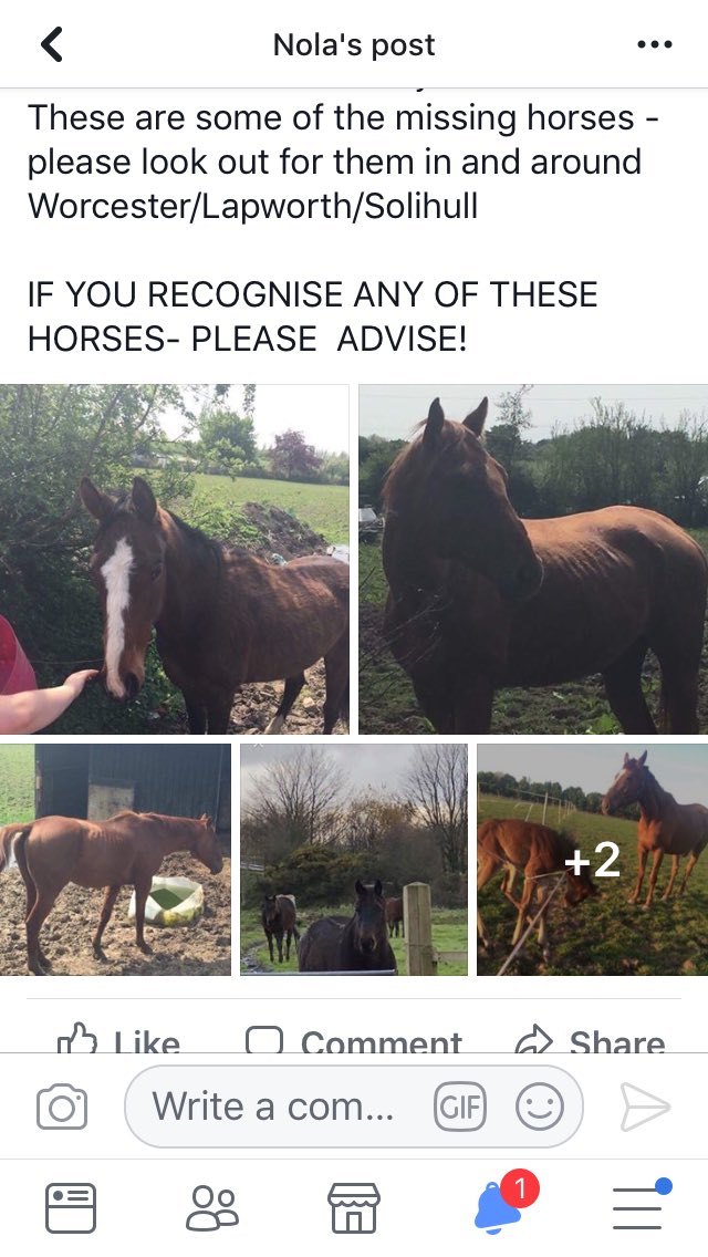 W Mercia HorseWatch tweet media