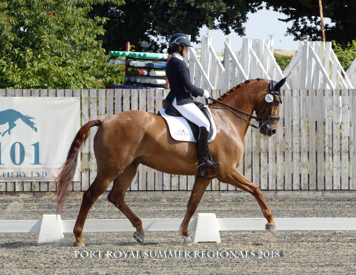 A stencil just for Classic Goldstrike!  Thank you <a href="/angharadh96/">Angharad Harries</a> and our lovely neighbour at Port Royal who had this beauty!  @ClassicRebecca Medium Gold Regional Champion!