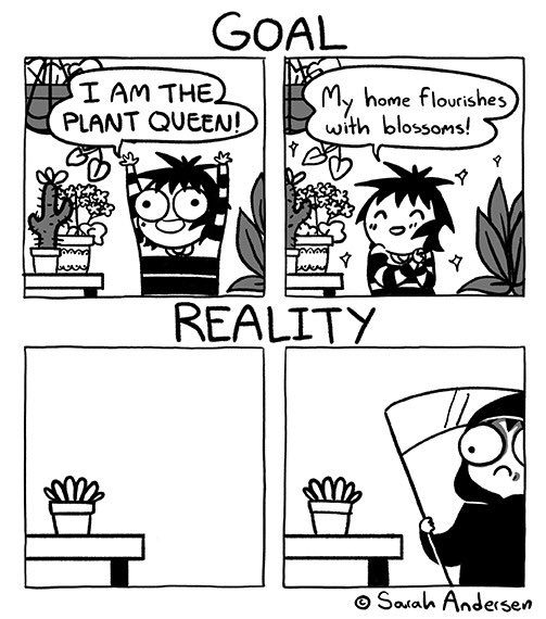 SarahCAndersen's tweet image. 