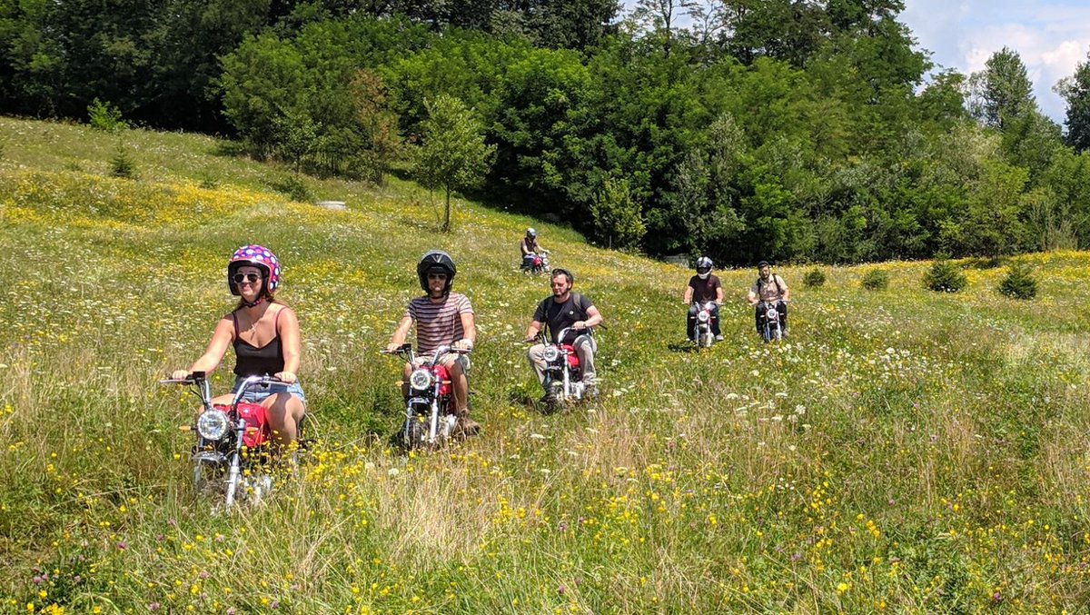 TheAdventurists's tweet photo. Monkey, monkeys everywhere. It's like a shit version of the sound of music. #MonkeyRunRomania kicks off tomorrow. #MakeLifeLessBoring https://t.co/DKDTPkYajy