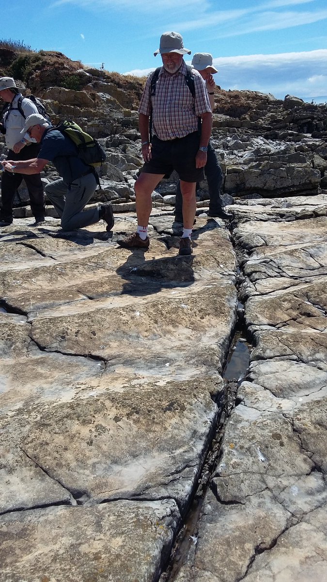 It's not my fault! Mega ripples offset by a fault on Flat Holm with <a href="/SWGeologists/">SWGA</a>. Retired <a href="/BGSWales/">BGS in Wales</a> colleague Larry Thomas for scale! :-)