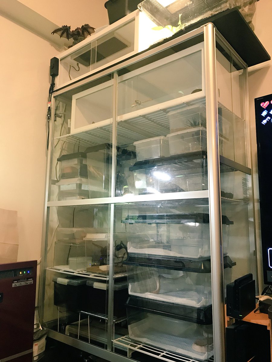 よこし え 温室から出さないで掃除するよ ケージの中に霧吹きブシャーってして拭けば綺麗になるし よこし え 温室から出さないで掃除するよ ケージの中に霧吹きブシャーってして拭けば綺麗になるし