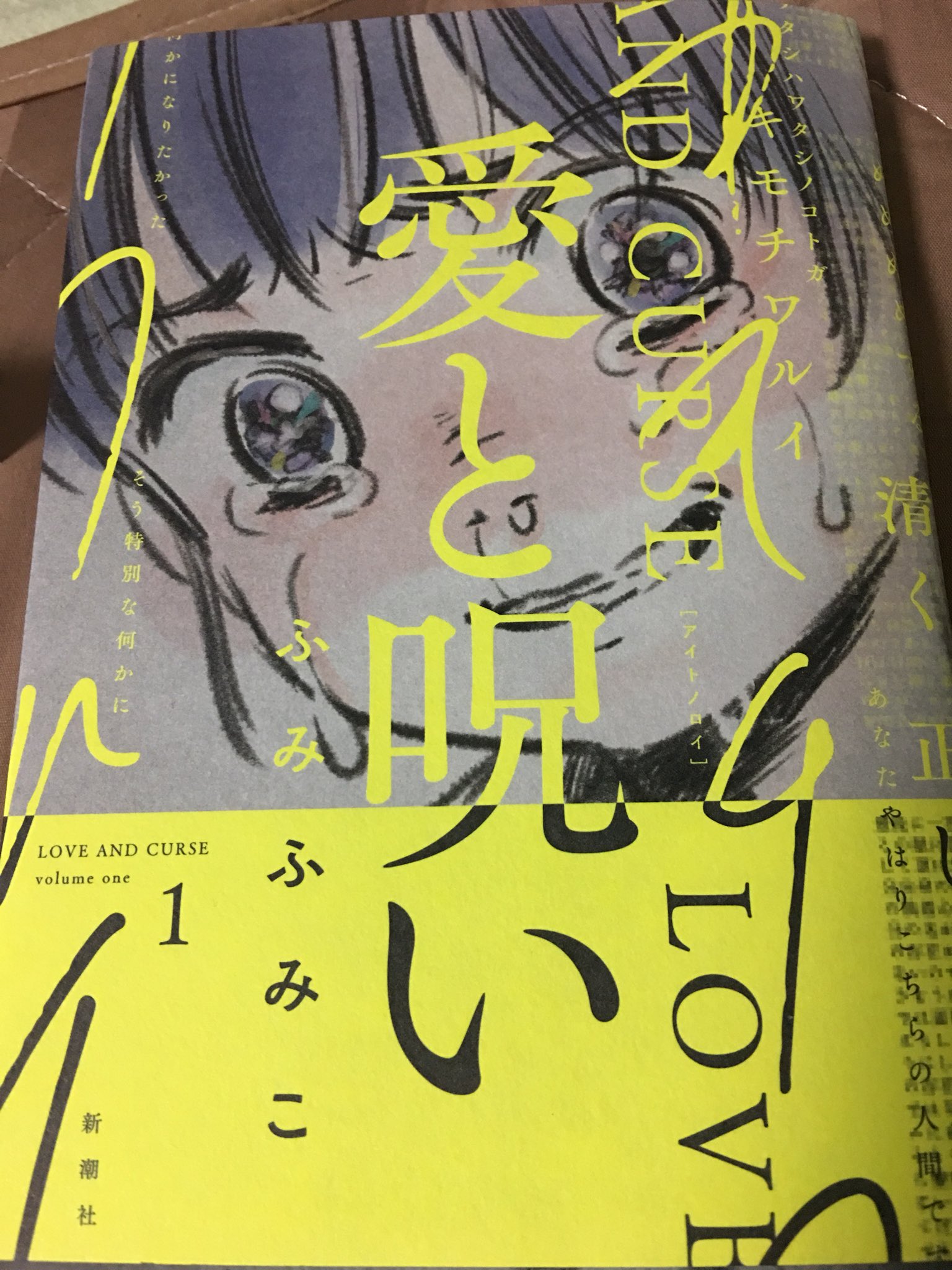 コタリン 愛と呪いすごい 主人公はカルト宗教の一家に育った性的虐待を受けてる女子中学生 酒鬼薔薇事件を登場させて引用バンバン出しちゃう あと宗主の名前が猪木 顔も猪木 恨みでもあんのか まさにタイトル通りの展開で感情をぎゅうぎゅうに