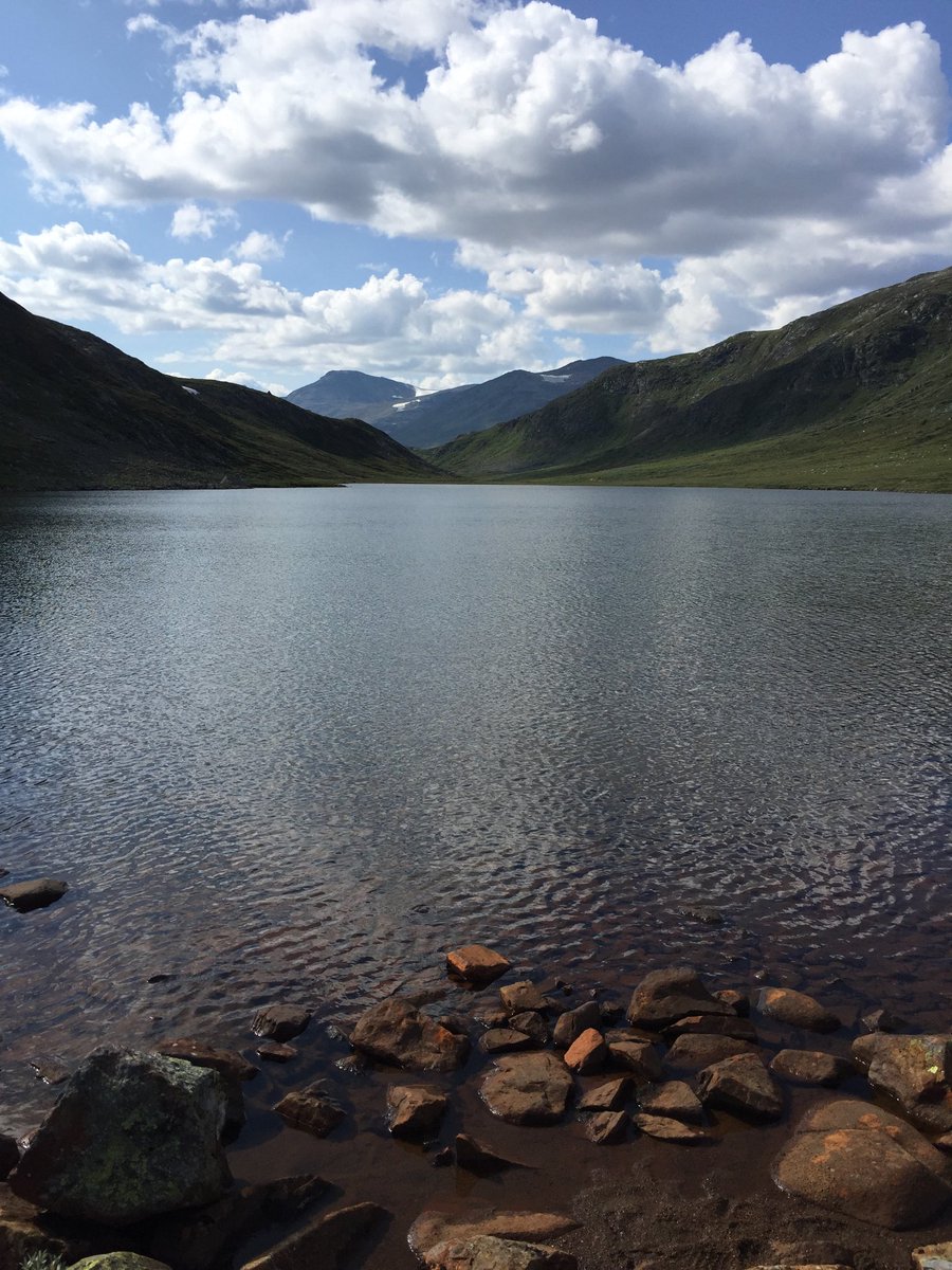 JanLillestrom's tweet photo. Fagerdalen in Norway #Valdres# https://t.co/3Bu0HHVNHI