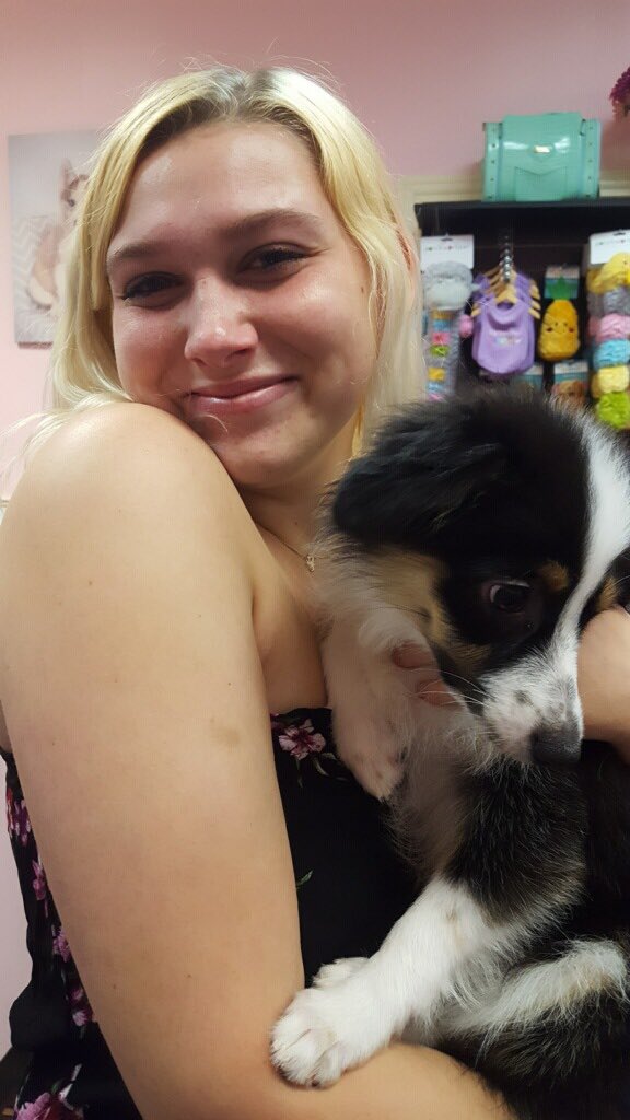 makayla12marie's tweet photo. I just put my baby down a few days ago and I walk into the puppy store and see this gem. He looked just like my sadie and was in a woman's arms and instantly wanted me to hold him. So precious you bet I cried lol https://t.co/W1sPj92f0B