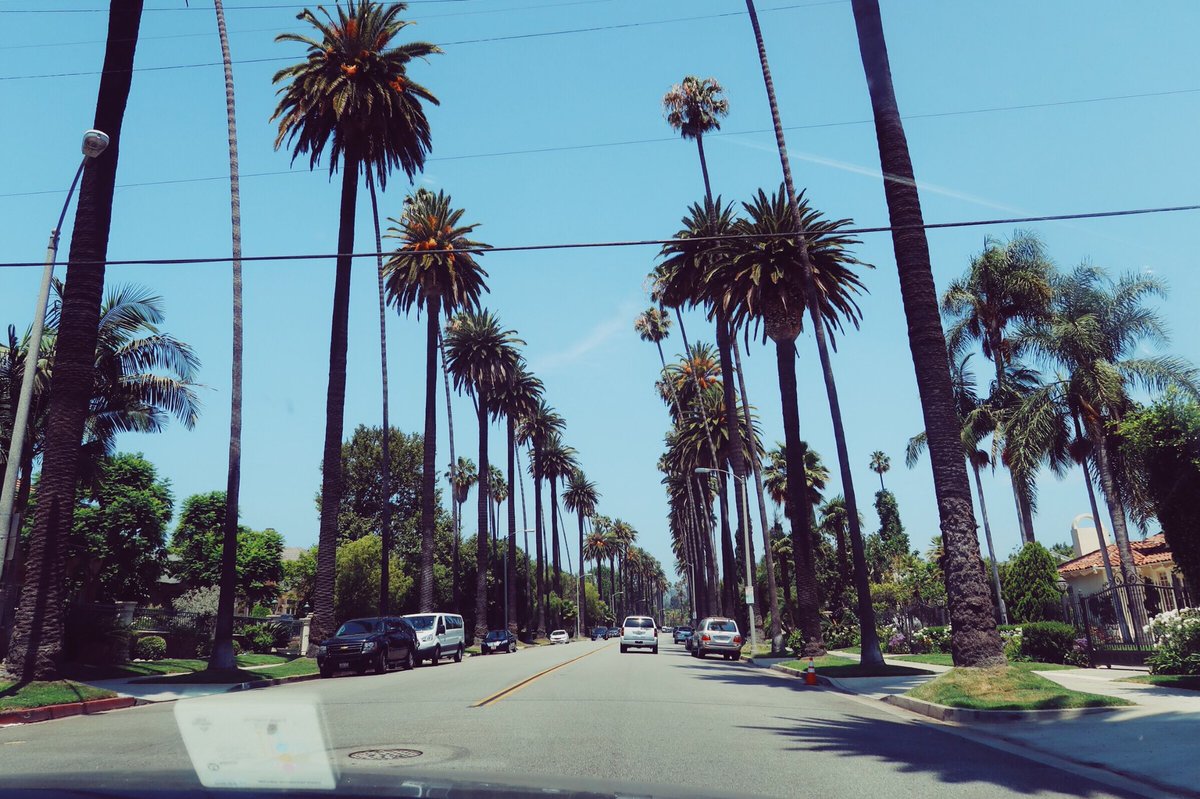 amyjoywilson's tweet photo. California, you never ever disappoint. #bebackASAP #mollyisthebest https://t.co/sb6niwqd7K