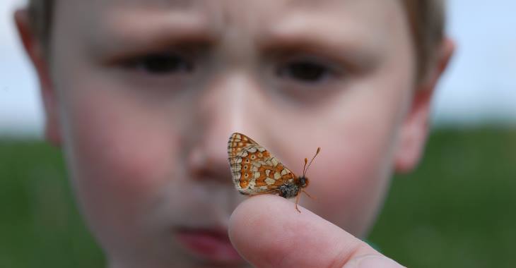 'There is a lot of great work taking place within the farming community to help wildlife that often goes unnoticed.' Farmers are to work together to help local wildlife on the Devon and Somerset border, Butterfly Conservation (BC) has revealed: bit.ly/2LpBTqT