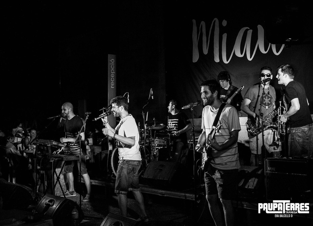 Miaú tweet media
