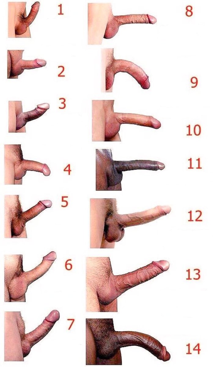 ERECTOSPUEBLA's tweet photo. ¿Cual es el tuyo? https://t.co/M2rsixmIkn