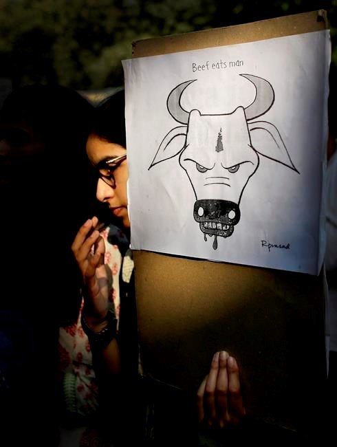 Mob lynches Muslim man over cow smuggling charges in India  ottawamatters.com/world-news/mob… https://t.co/71nEN09zK8