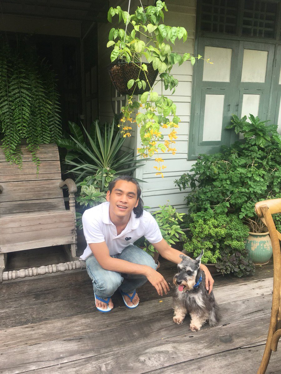 ImmaAmadiva's tweet photo. Dog and sunlight #cuteeeeeee https://t.co/kW6bZ3kXdM