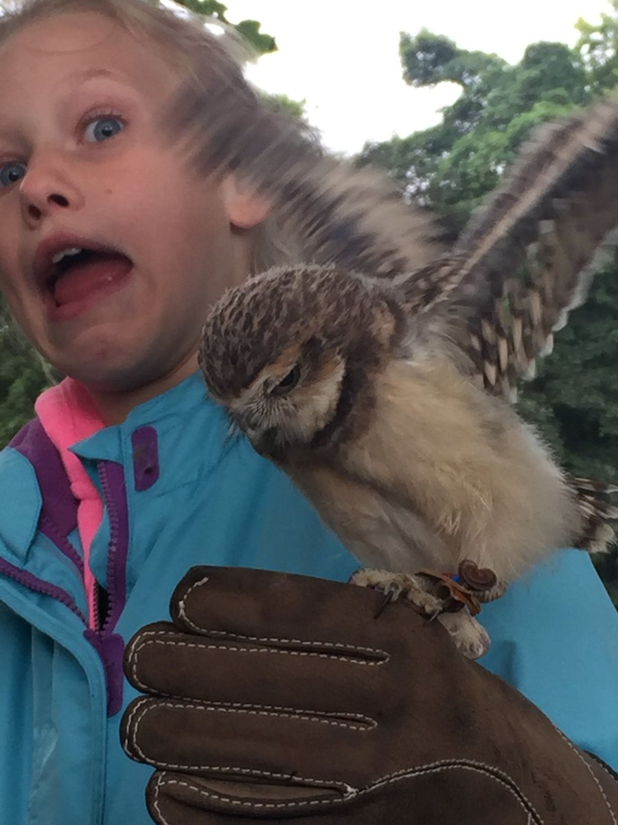 SuzannBar's tweet photo. Caption?... #photooftheday #funnyface https://t.co/gPuvOt0O6d