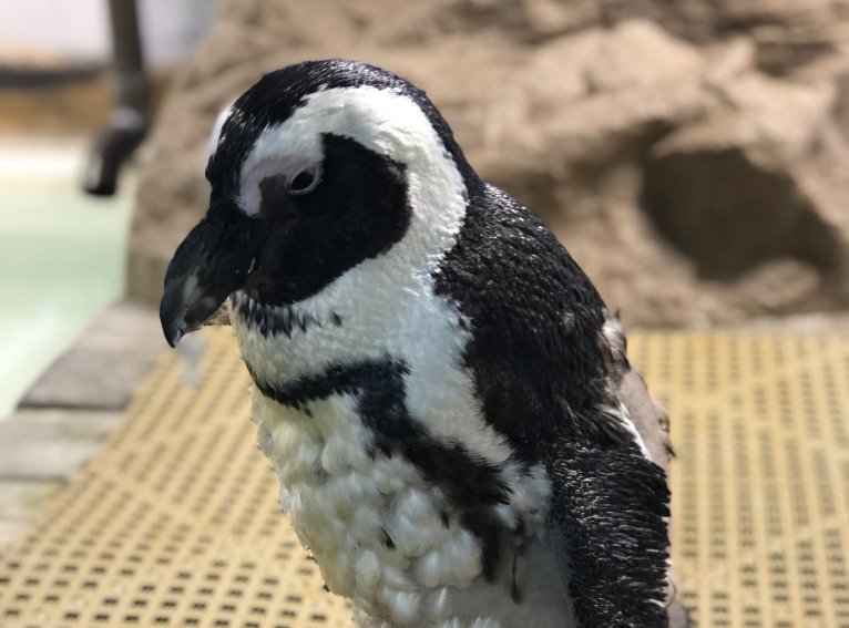 The Florida Aquarium tweet media