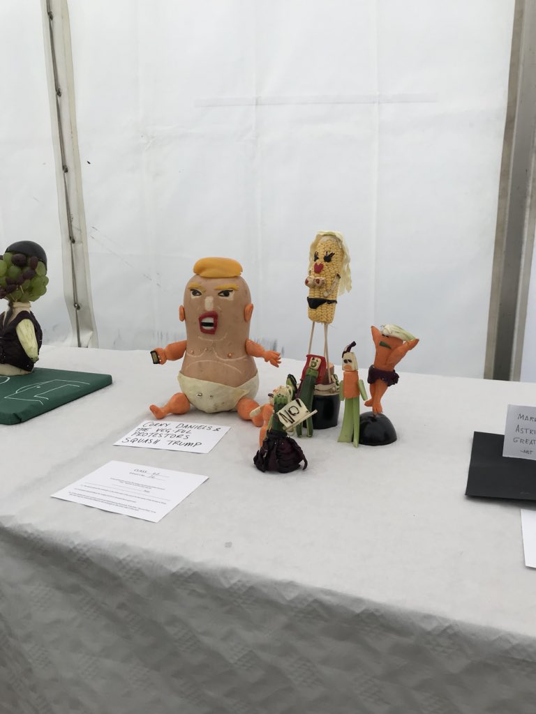 Battersea_WI's tweet photo. Had a brilliant time at #LambethCountyShow today. Excellent food, entertainment and vegetables. This was definitely my favourite... https://t.co/O47vJPzOay