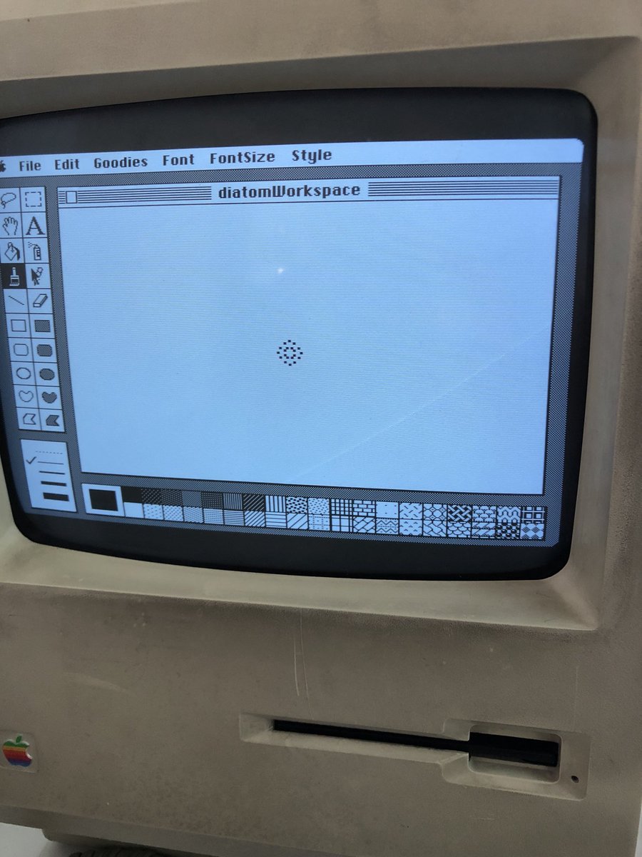 joshburker's tweet photo. These tiny #diatoms I am inventing in #MacPaint are just a few pixels of absolute cuteness!! #retroComputing #Mac512K #Macintosh #BrushMirrors https://t.co/yLQD7X50u4