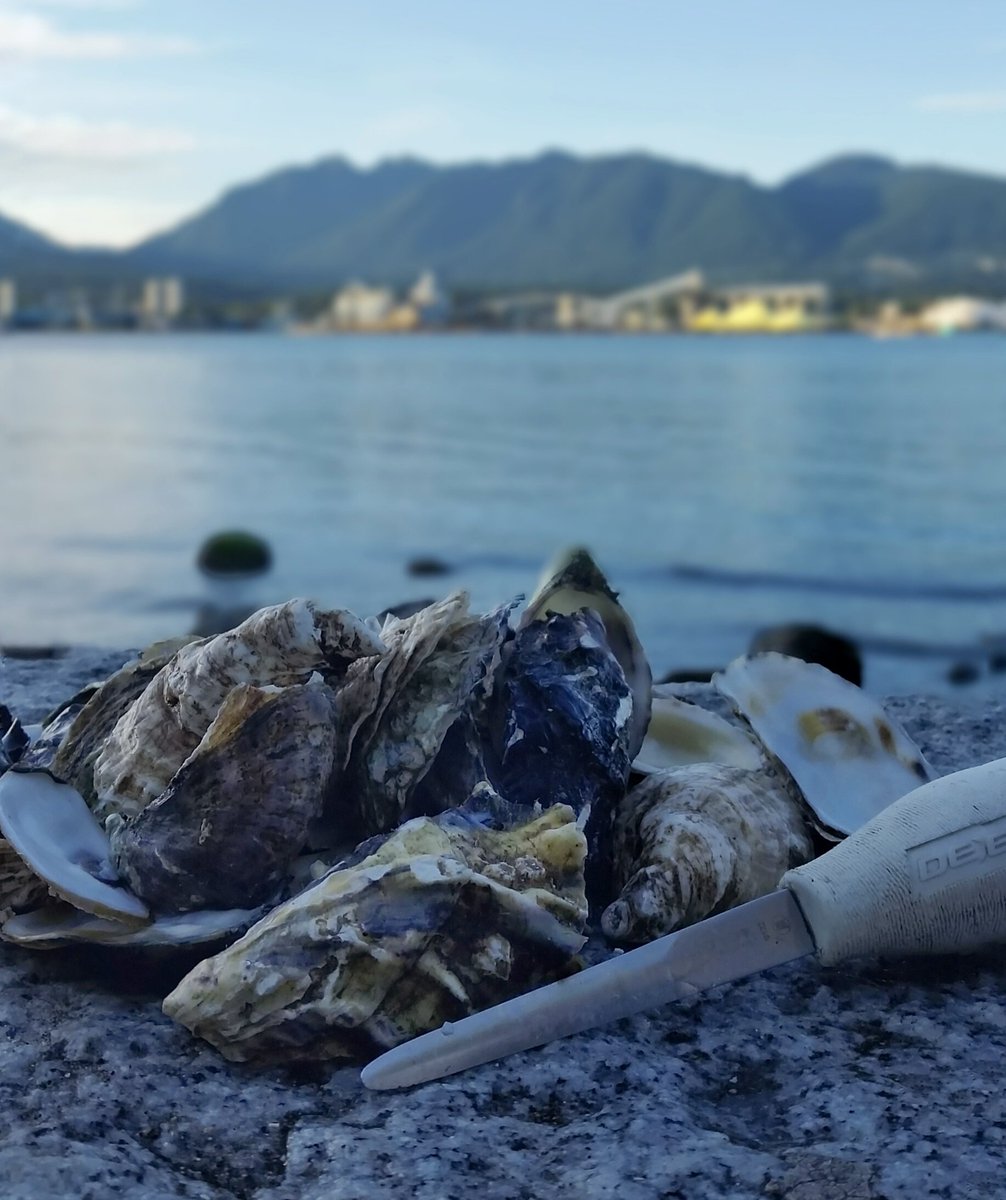 LauraD_Gray's tweet image. Sun Seekers from @FannyBayOysters  are a definite fav! Beautiful day in Vancouver. #halfshell