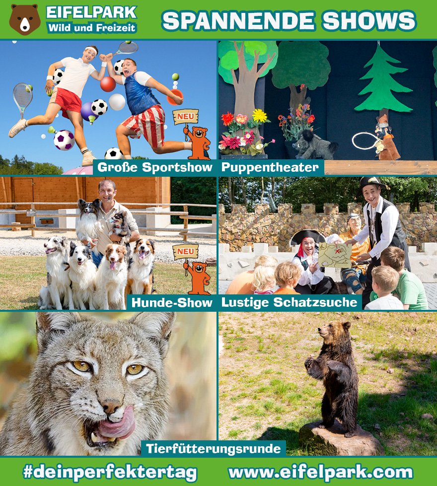 Für jede Menge Abwechslung beim sorgen neben 45 Attraktionen 🎢und jeder Menge Wild 🦌 unsere spannenden und witzigen Shows ✅.
Alle Infos: eifelpark.com
#deinperfektertag #ausflug #sommerferien #freizeit #tiergarten #wildlife #wildgehege #trier #eifelpark #eifel #mosel
