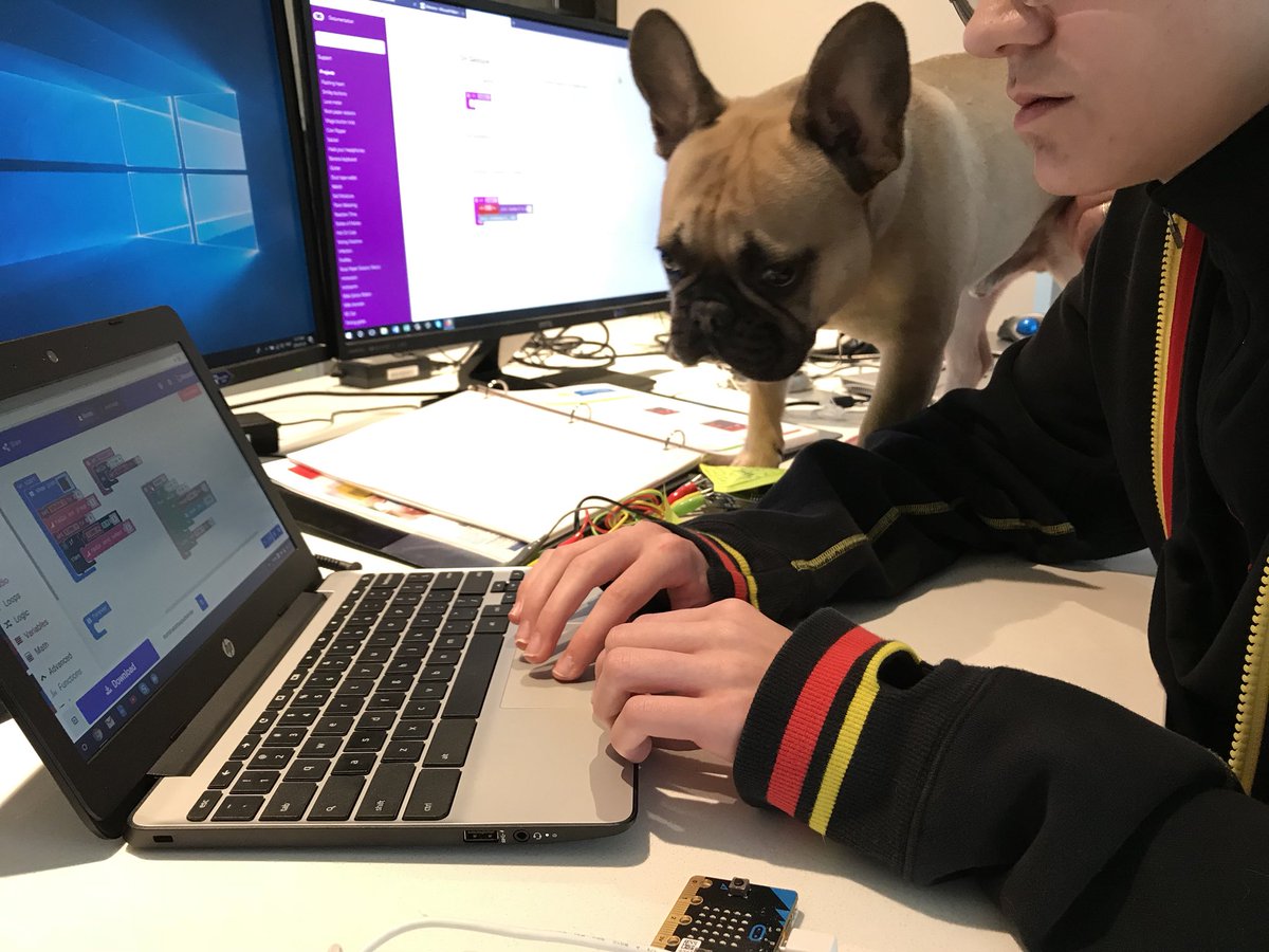 FergeeksonGirl's tweet image. I can see that... 
Bugatti is my son’s @MSMakeCode pair #coding #Frenchie...  💁🏼‍♀️❤️🐻 

#codebuddies #JavaScript #microbit @microbit_edu #100DaysOfCode #Beyond100Days