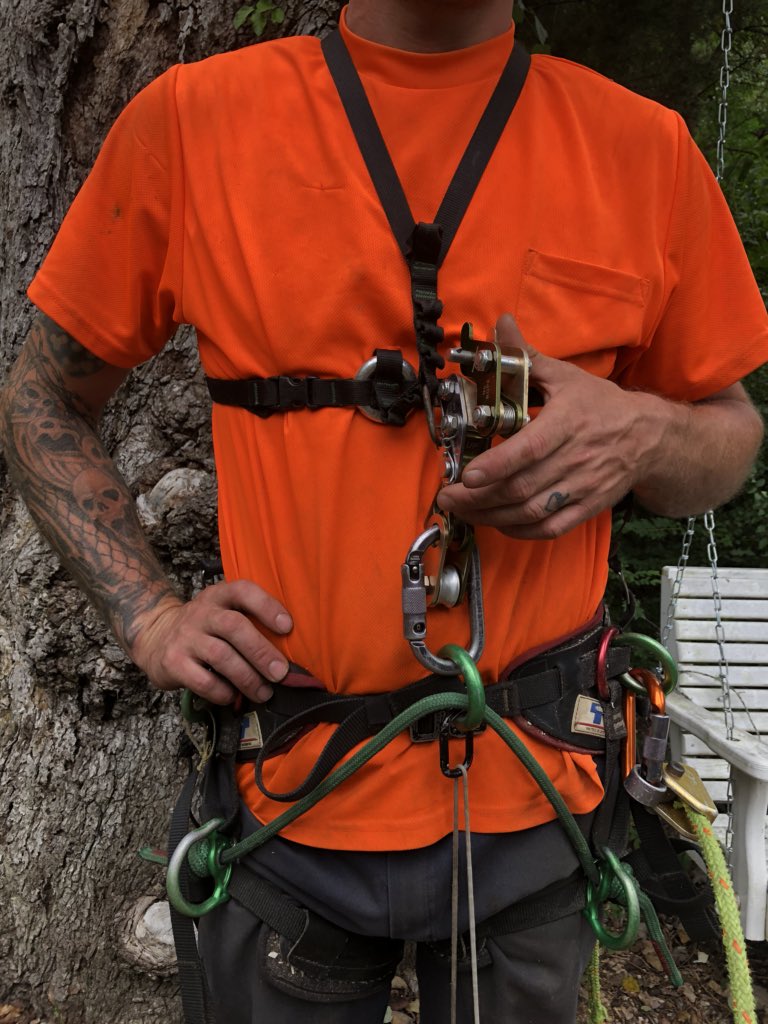 MsMollyOT's tweet photo. @AskTSA can my husband take his tree climbing gear through security and carry on the plane?  Thanks for your help! https://t.co/j3iLM1wTNF