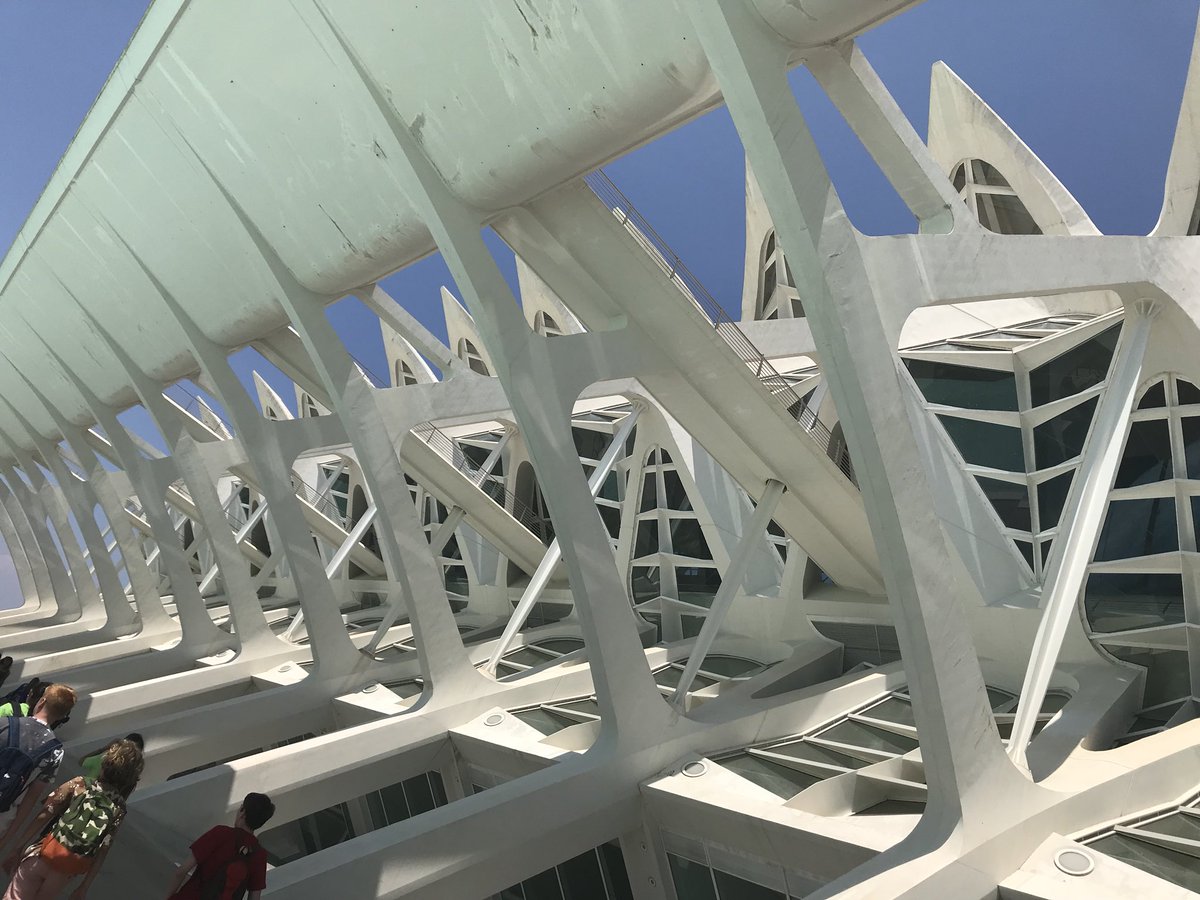 GCSLanguages's tweet photo. Fantastic day at the Aquarium and Museum of Science and Arts and now we’re heading for Valencia airport https://t.co/2XIZoKY6IB